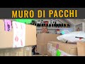 UNBOXING MURO DI PACCHI! e una PECORA!