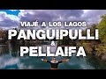 VIAJANDO - ANDO | LAGO PANGUIPULLI | LAGO PELLAIFA | 4K