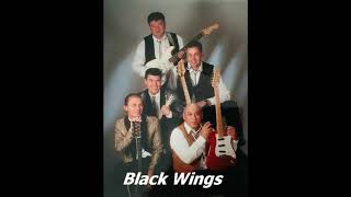 Video thumbnail of "Black Wings - Aku Jatuh Cintha (indo rock)"