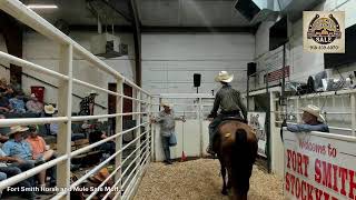 Fort Smith Horse Mule Sale - Moffett Oklahoma