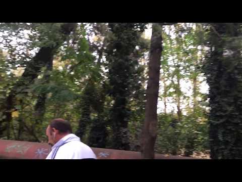 #85 ავტობუსის მძღოლმა შუა გზაში მოშარდა