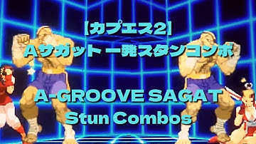 【カプエス2】 Aサガット 一発スタンコンボ CVS2 A-GROOVE SAGAT Stun Combos