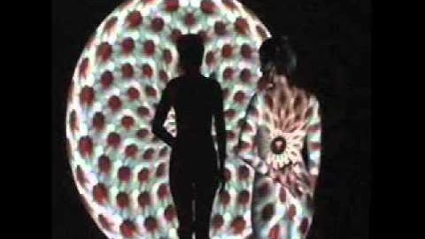 Forest For The Trees - You Create The Reason.wmv