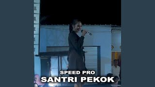 Santri Pekok