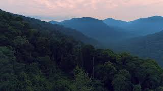 Sunrise over a jungle in Perak, Malaysia screenshot 5