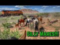 Horses and moving trains  high desert ranching