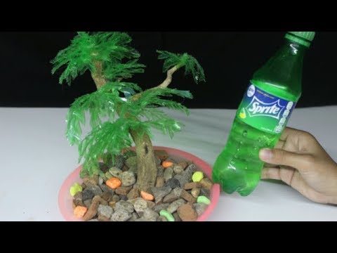 Cara Membuat Tanaman Hias Bonsai dari Botol bekas Indah 