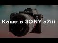 КИНОШНАЯ КАРТИНКА | Отображение каше в Sony a7iii