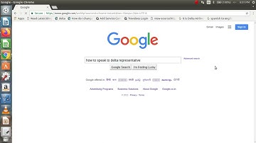How to speak Delta Representative?Ways to contact