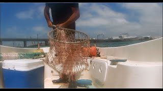 Pescando doradas en el Puente Carranza, Bahía de Cádiz