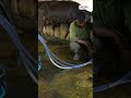 பால் கறவை இயந்திரம் ஆஃப்ர் விலையில் வாங்கலாமா #cow #milk #explore #explorepage #shortsfeed #shorts