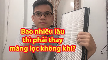 Bao nhiêu lâu cần thay màng lọc của máy lọc không khí?