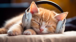 Music for Nervous Cats  Soothing Sleep Music, Deep Relaxation Music For Your Pet