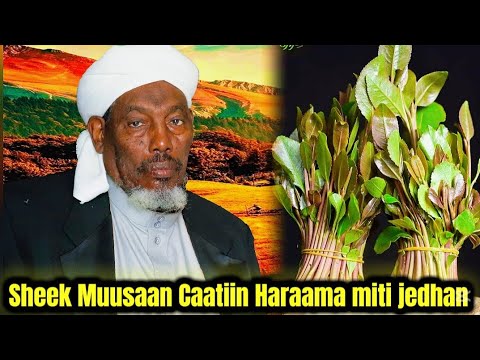 Sheek Muusaa Su Aalaa Caatiin Haraama Miti Jedhan