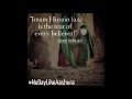ثورة مشي حسين فيصل ثورة مشي حسين فيصل