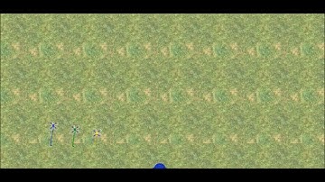 Coordinated Mission with Collision Avoidance