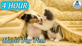 4 HOURS RELAX WITH CUTE PUPPIES [4K Ultra HD] - Beautiful Pets Videos With Relaxing Music