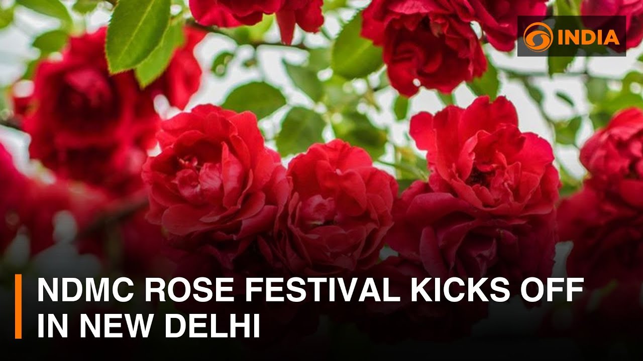 NDMC Rose Festival kicks off with opening ceremony in New Delhi | DD India