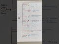 plastid#types#biology#Trending#storage#viral.