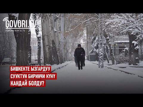 Video: Догондун космостук илими