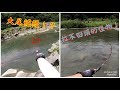 這邊怪物可真不少,竟然白天就在散步了...