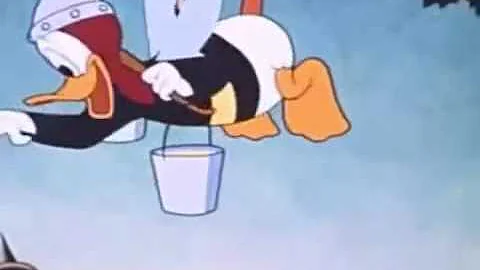 donald abelha abelhuda