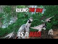 Ruling The Isle as a Maiasaura