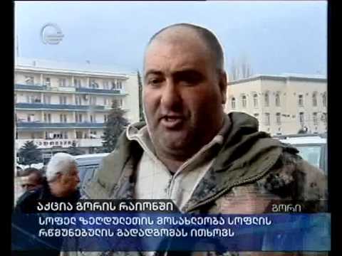 აქცია გორის რაიონში