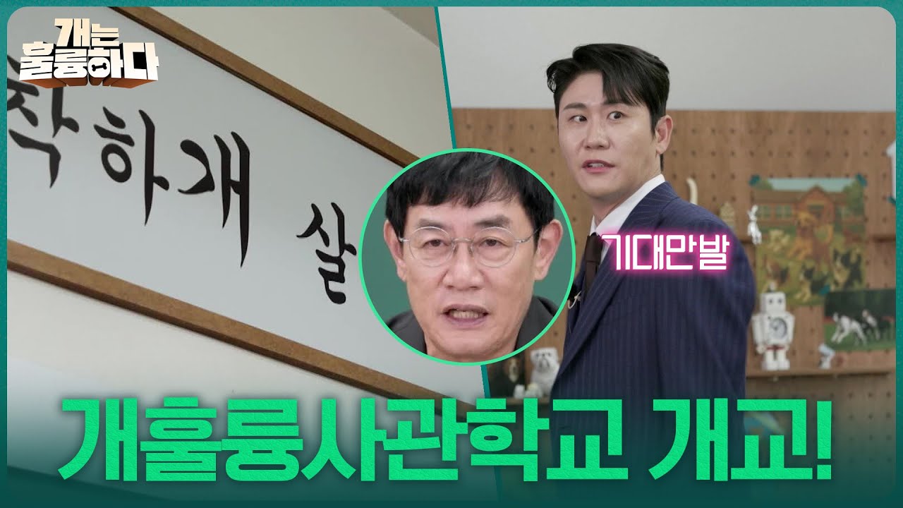 개훌륭사관학교 개교! 입학 신청한 첫 번째 고민견 [개는 훌륭하다] | KBS 251009 방송