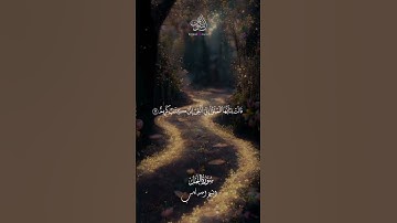 سورة النمل تلاوه هادئه #quran #المصحف