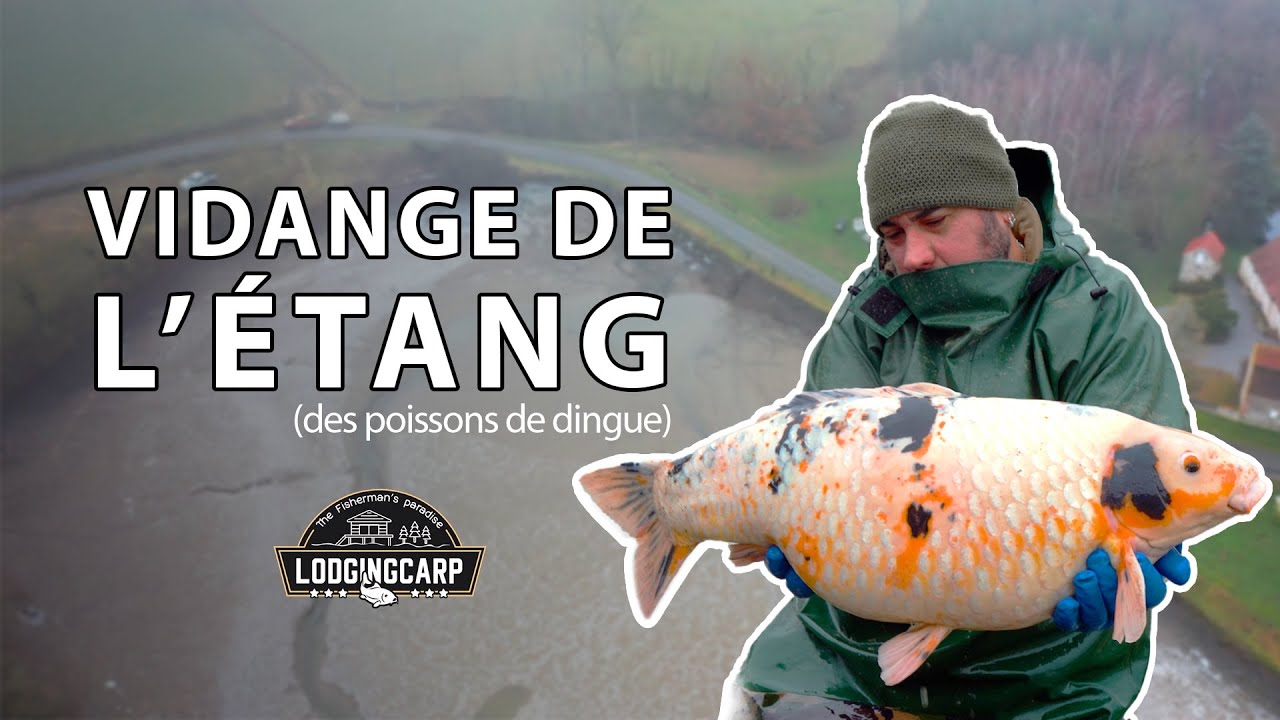 Lodgingcarp Vaise - Vidange de l'étang
