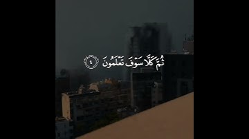 الهاكم التكاثر كامله - خالد_الجليل  #سورة_التكاثر #islamicquote #تلاوات_خاشعة