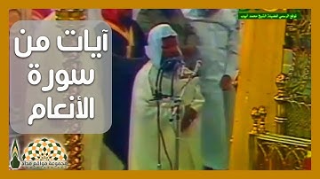 تلاوة عطرة من سورة الأنعام في رحاب المسجد النبوي الشريف لفضيلة الشيخ د. محمد أيوب رحمه الله