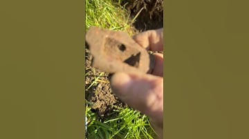 Big Deep Iron #shorts #metaldetecting #minelabmanticore #metaldetecting