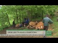 Grom u sekundi ubio tri krave: "Trebalo je uskoro da se otele"