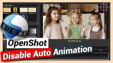 Fix Zoom or Scale Video Without Animating | OpenShot Tutorial