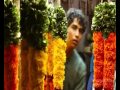 ♥ Pi's Lullaby Official Music Video Life Of Pi ♫ feat Mychael Danna & Bombay Jayashri ♥