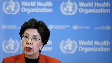 WHO: Zika Virus Is a Global Health Emergency