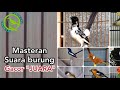 Kompilasi Masteran Suara Burung Isian Jalak Bali Kacer Kenari Cililin Anis Merah Cendet Komplit Omkicau(.mp3 .mp4) Mp3 - Mp4 Download