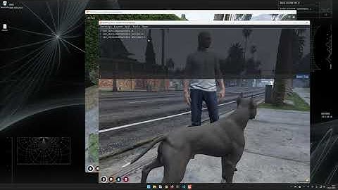 FiveM Debug & Dual Client