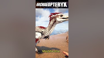 Top5 Dino You shouldn