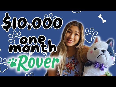 $10,000 IN ONE MONTH ON ROVER??? How much I made on ROVER dog sitting