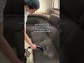 The ENTIRE sofa was soaked in pee? 🤢