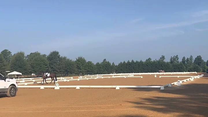 USEA Novice Test A