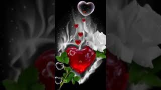 Love gif with white Flower