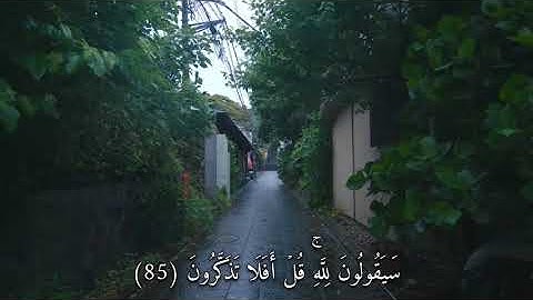 2. "تلاوة تريح القلب 💗 | سورة المؤمنون - ماهر المعيقلي"