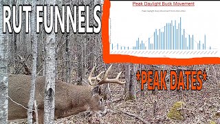 Peak Daylight Rut Funnel Movement [DATES]