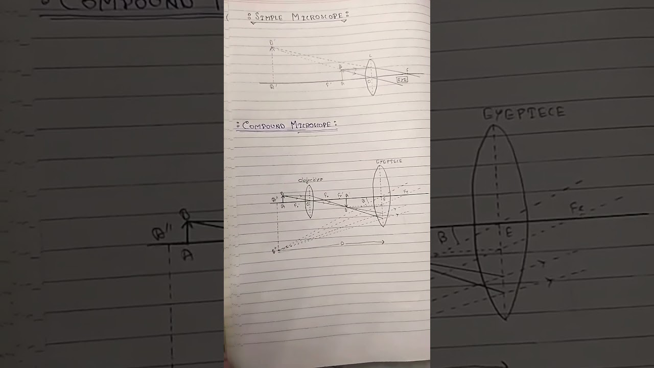 Simple and Compound Microscope diagrams || Class 12