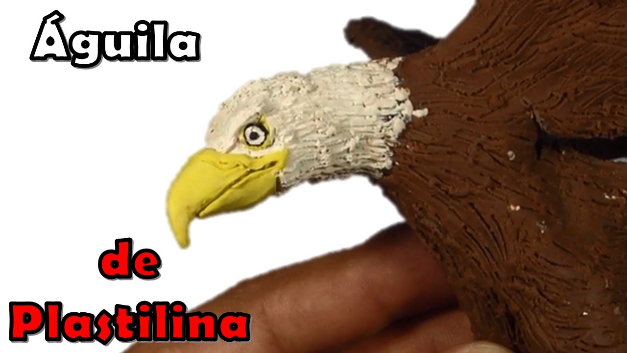 ✓ COMO HACER UN AGUILA REAL DE PLASTILINA PASO A PASO ✓ MI MUNDO DE  PLASTILINA - MY CLAY WORLD - YouTube