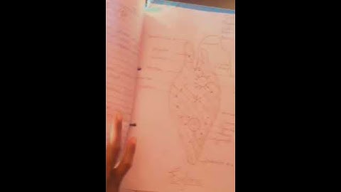 #video ,B.Sc 1st semester Zoology practical file #bsc   biology #viralvideo